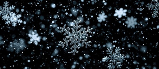 Real falling snowflakes, black background, wide angle animation for digital composition.