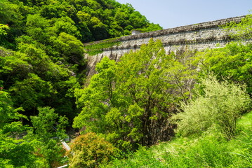 新緑の風景　神戸市中央区の新神戸駅から布引貯水池に向かう登山道にて