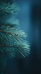 Fototapeta na wymiar Cinematic Close-up of Pine Needle with Soft Focus Generative AI
