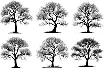 6 Dead tree silhouette set on transparent background, generative ai