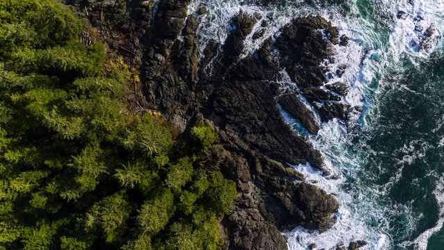 Drone video at sunset in Ucluelet British Columbia, Canada over the ocean and forest