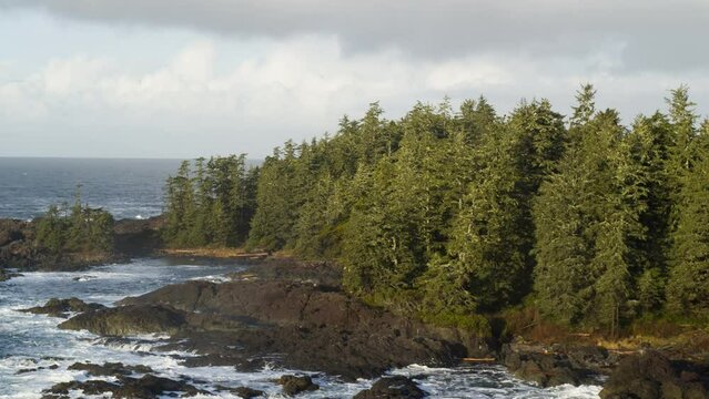 Drone video at sunset in Ucluelet British Columbia, Canada over the ocean and forest