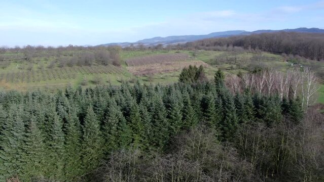 Aerial view of lush German nature, Baden Wuerttemberg