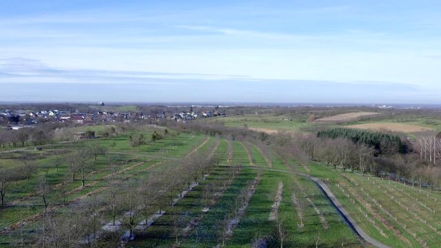 Aerial view of countryside of Ortenau with Strasbourg in background