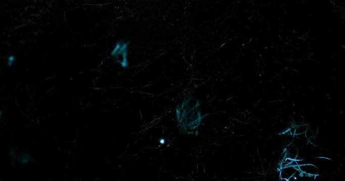 Blue energy twirls around on an abstract dark web and forms clouds that emit a blue glow repeatedly