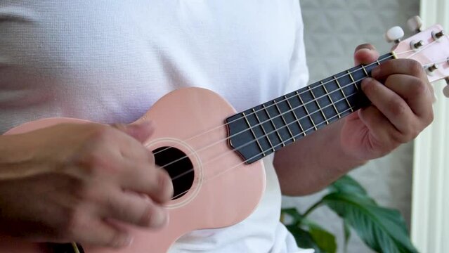 Man mid 30 and with bead is playing and whistling with his pink ukulele next to a big window and close to a green plant. Music is one form of art that can soothe the soul and make us feel better