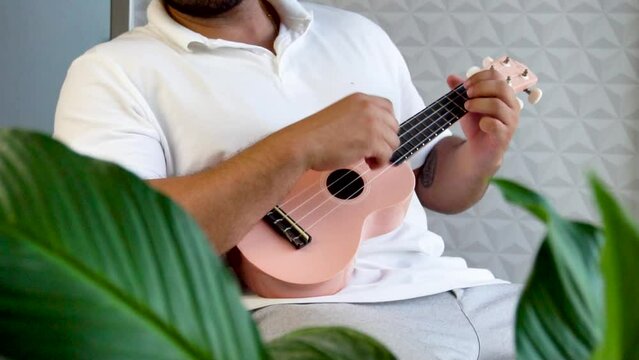 Playing pink ukulele next to a big window and close to a green plant. Music is one form of art that can soothe the soul and make us feel better