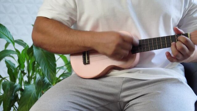 Man mid 30 and with bead is playing and whistling with his pink ukulele next to a big window and close to a green plant. Music is one form of art that can soothe the soul and make us feel better