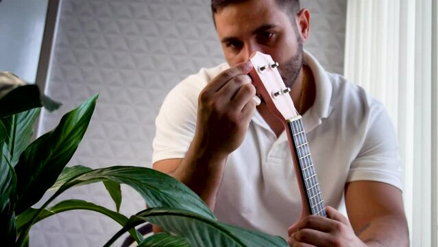 Man mid 30 and with bead is playing and whistling with his pink ukulele next to a big window and close to a green plant. Music is one form of art that can soothe the soul and make us feel better