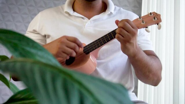 Man mid 30 and with beard is playing and whistling with his pink ukulele next to a big window and close to a green plant. Music can soothe the soul and make us feel better