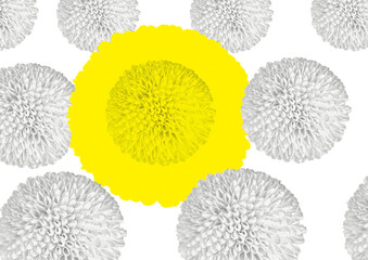 お花