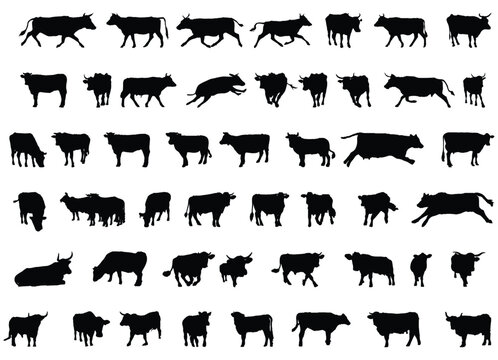 Cow Silhouette Vector Set on White Background