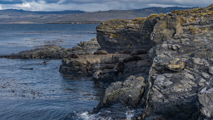 Sea lions relax on the slopes of a rocky islet in the Beagle Channel. Sparse grassy vegetation on the cliffs. The waves of the ocean are beating against the rocks. Mountains against the sky and clouds