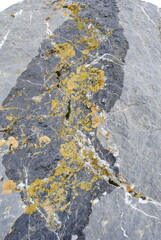 Lichen and quartz vein in igneous rock close up macro
