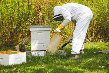 the beekeeper is working to remove hivebees from their boxes