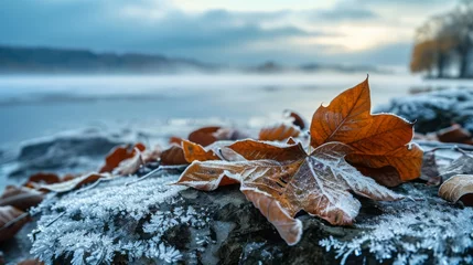 Foto op Canvas Colorful autumn leaves gracefully scatter across a serene water surface, creating a picturesque scene of nature's beauty in the snow © Littleforest Stocker
