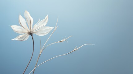White flower on a blue background. 3d rendering, 3d illustration. Generative AI