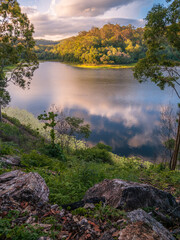 lake in the forest vertical orientation