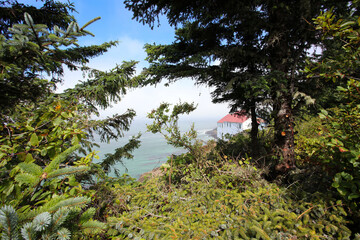 Nature Outdoors WIndow of Beauty 