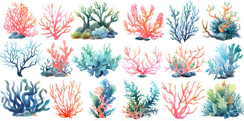 Watercolor coral reef clipart for graphic resources