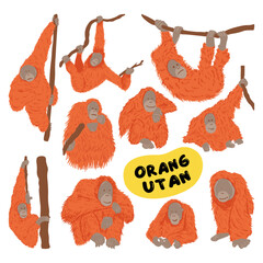 ORANGUTAN BORNEO ELEMENTS SET © Howre Sketch