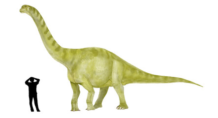 フクイティタン　日本で発見された恐竜シリーズとして描いた。学名はフクイティタン・ニッポネンシス。福井県の白亜紀初期から中期の地層から発見された。竜脚類。