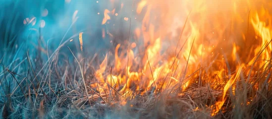 Rolgordijnen Springtime fire of dry grass. © 2rogan