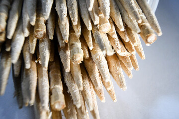 Macro photo of a bunch of toothpick sticks - obrazy, fototapety, plakaty