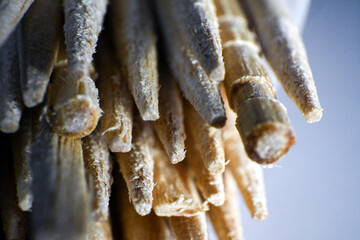 Macro photo of a bunch of toothpick sticks - obrazy, fototapety, plakaty