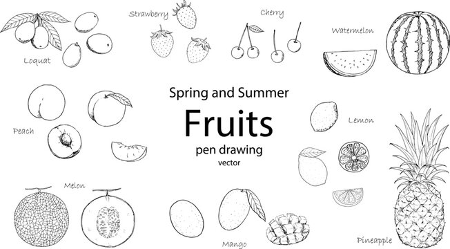 春と夏のフルーツのペン画セット