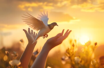 Dove soaring in peaceful golden sky