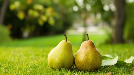 Pair of pears on the grass in the garden. Selective focus. Generative AI