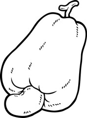 Vector Cartoon Ripe Cashew Fruit Line Art