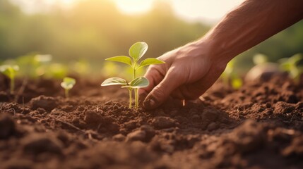 Human hand planting green seedling on fertile soil at sunset, Ecology concept Generative AI