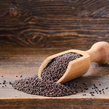 Fresh and Healthy Mustard Seed