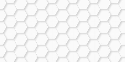 Background with white and black lines 3d Hexagonal structure futuristic white texture and Embossed Hexagon , honeycomb white Background ,light and shadow ,Vector technology cell web tile backdrop.