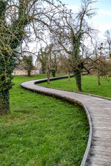 Obraz premium Elevated wooden walkway bridge on green grass between bare fruit trees, Flanders standard organic orchard, Alden Biesen Castle in background, cloudy winter day in Bilzen, Limburg, Belgium