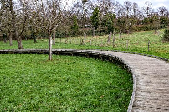 Curved wooden elevated walkway bridge on green grass, bare fruit trees in Flanders organic orchard at Alden Biesen castle, cloudy winter day in Bilzen, Limburg, Belgium