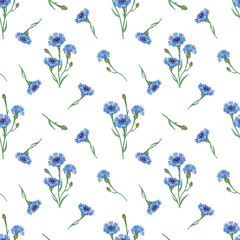 Seamless floral pattern with cornflowers isolated on a white background.