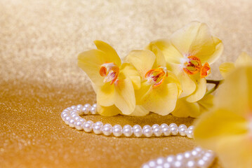 Fototapeta na wymiar yellow Orchid and pearl necklace on a shiny gold background