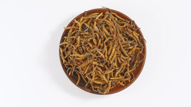 View from above of cordyceps on a round wooden plate on a white turntable. Cordyceps is a precious medicinal herb with high nutritional value.