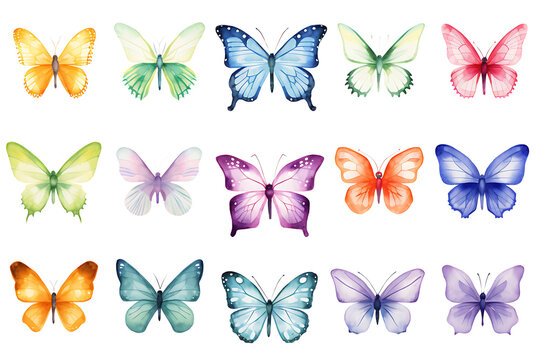 Colorful Butterfly Collection Watercolor Clipart Set for Baby Shower and Celebration Designs