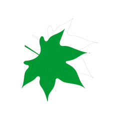 vector element leaf in green color leaf