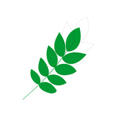 vector element leaf in green color leaf