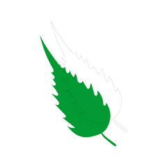 vector element leaf in green color leaf