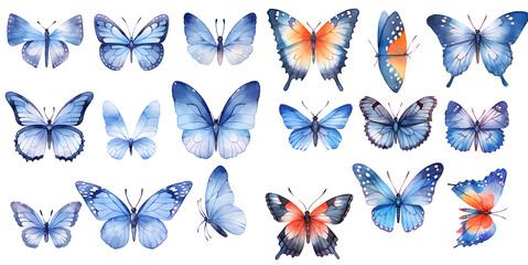 Fototapeta premium Watercolor butterfly clipart for graphic resources