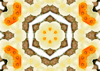 A textured pattern created by combining several photographs.