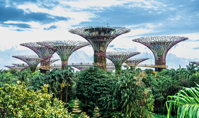 Gardens by the Bay in Singapore with iconic Supertrees and lush tropical vegetation. Vibrant cityscape with unique greenery, modern architecture, and nature in harmony - obrazy, fototapety, plakaty