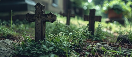 Decaying wooden crosses on the ground, overgrown with plants. - obrazy, fototapety, plakaty