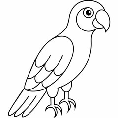 parrot black and white vector illustration for coloring book